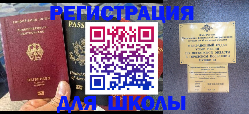 прописка 2025 в Кольчугино